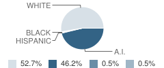 Tok School Student Race Distribution