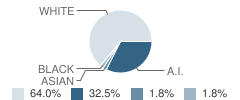 Kenny Lake School Student Race Distribution