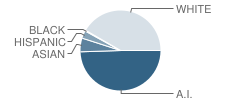 White Cliff Elementary School Student Race Distribution