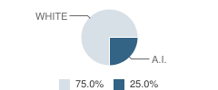 Ketchikan Regional Youth Facility School Student Race Distribution