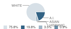 Point Higgins School Student Race Distribution