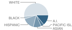 Campbell Elementary School Student Race Distribution