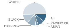 Chester Valley Elementary School Student Race Distribution