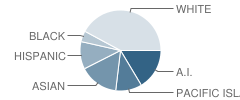 Chinook Elementary School Student Race Distribution