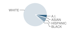 O'malley Elementary School Student Race Distribution