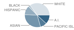 Lake Hood Elementary School Student Race Distribution