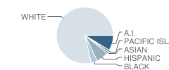 Family Partnership Charter School Student Race Distribution