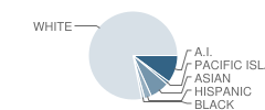 Juneau District Correspondence School Student Race Distribution