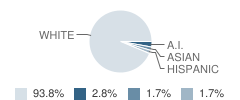 Aurora Borealis Charter School Student Race Distribution