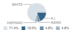 Gustavus School Student Race Distribution