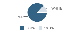 Aniak High School Student Race Distribution