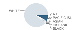 Academy Charter School Student Race Distribution