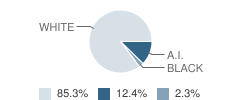 Willow Elementary School Student Race Distribution