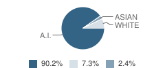 Kiita Learning Community School Student Race Distribution