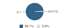 Togiak School Student Race Distribution