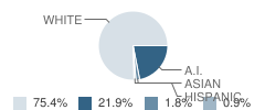 George H Gilson Jr. High School Student Race Distribution