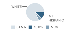 River City Academy Student Race Distribution