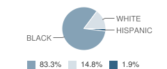 Continuous Learning Center School Student Race Distribution