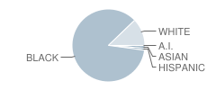 Choctaw County High School Student Race Distribution