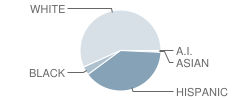 Wills Valley Elementary School Student Race Distribution