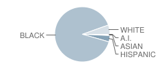 Martin Luther King Jr Elementary School Student Race Distribution