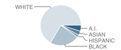 Mount Carmel Elementary School Student Race Distribution