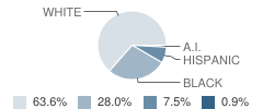 Sparkman Elementary School Student Race Distribution