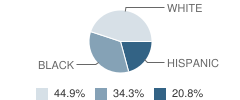 Thomas C. Brunson Elementary School Student Race Distribution