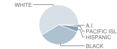 L.f. Henderson Intermediate School Student Race Distribution