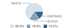 Blevins Elementary School Student Race Distribution