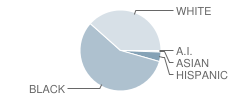 Yocum Elementary School Student Race Distribution