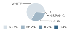 Junction City Elementary School Student Race Distribution