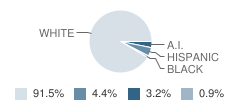 Mena Middle School Student Race Distribution