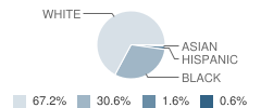 Monticello Middle School Student Race Distribution