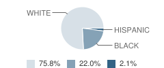 Norphlet Elementary School Student Race Distribution