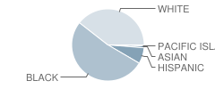 Gardner-Strong Elementary School Student Race Distribution