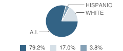 Tse'yaato' High School Student Race Distribution