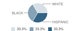 Evit Mountain Pointe High School Student Race Distribution