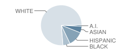 South Valley Jr. High School Student Race Distribution