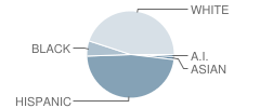 West-Mec - Buckeye Union High School Student Race Distribution