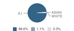 Pinon Middle School Student Race Distribution