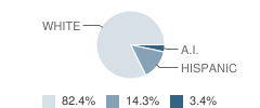 Capps Elementary School Student Race Distribution