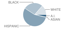 Summit Elementary School Student Race Distribution