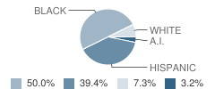 Sun Valley Middle School Student Race Distribution