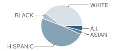 Desert View Academy Student Race Distribution