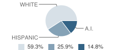 Pathways Charter High School Student Race Distribution