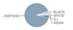 Granada East School Student Race Distribution