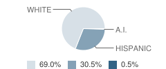 Bagdad High School Student Race Distribution