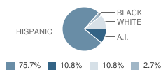 Clifton High School Student Race Distribution