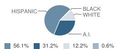 Gila Bend Elementary School Student Race Distribution